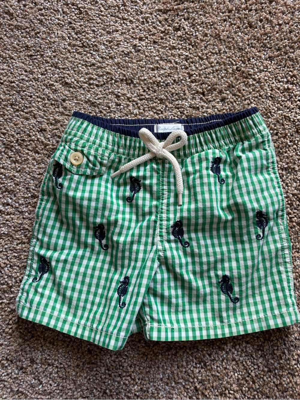 Polo Ralph Lauren Green Gingham Swim Shorts with Navy Seahorse Embroidery